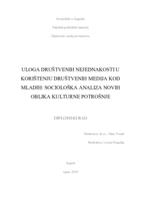 Uloga društvenih nejednakosti u korištenju društvenih medija kod mladih: sociološka analiza novih oblika kulturne potrošnje